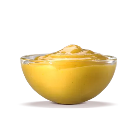 Honey Mustard Dipping Sauce